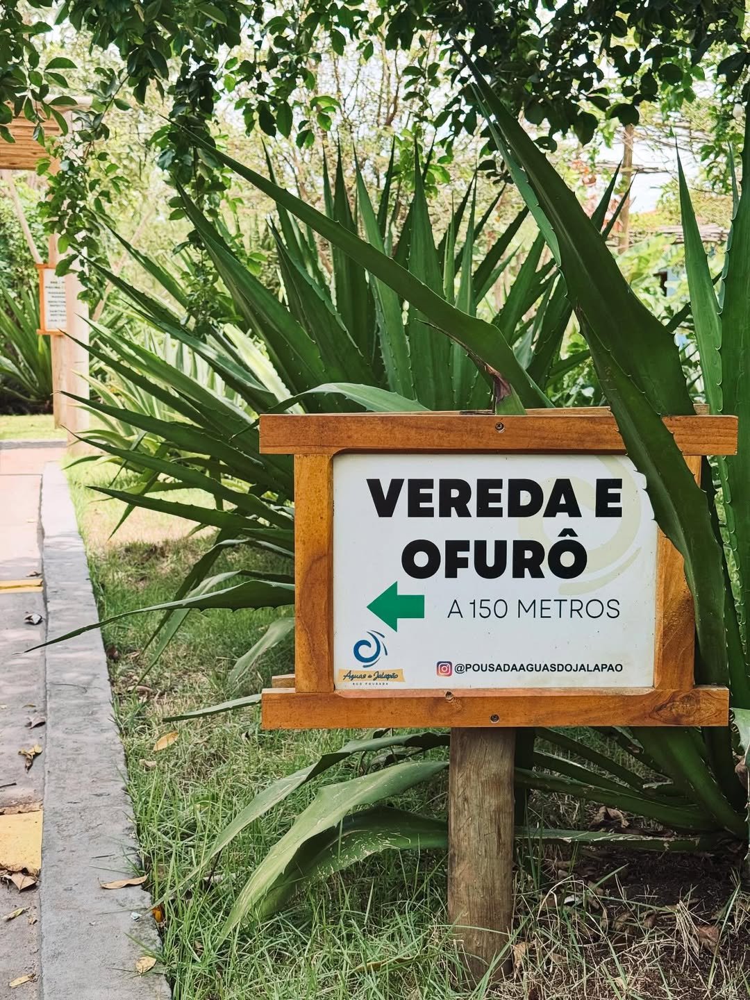 Foto da Estrutura
