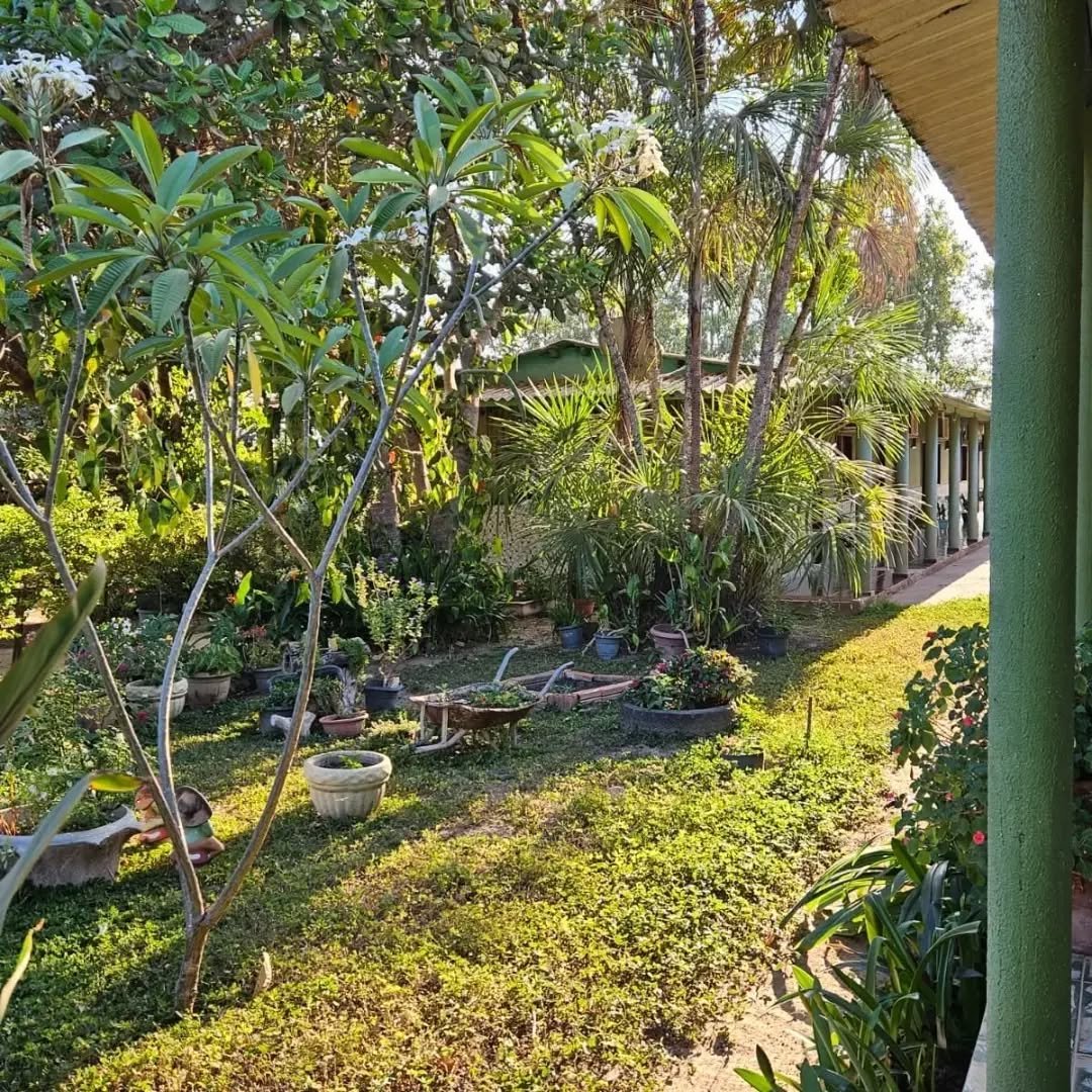 Foto da Estrutura