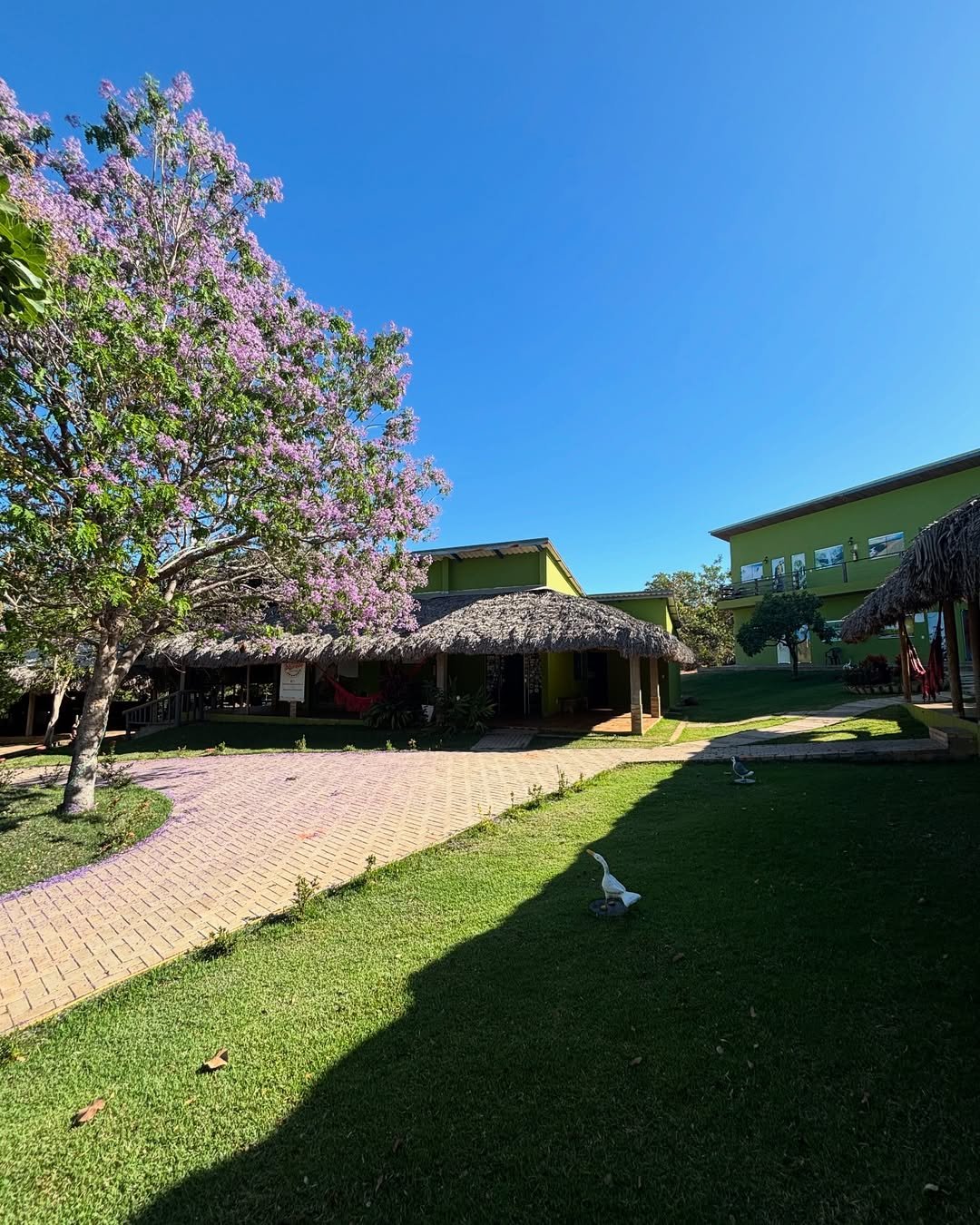 Foto da Estrutura